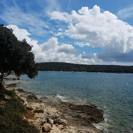 Apartment Dalia Rovinj Exterior photo