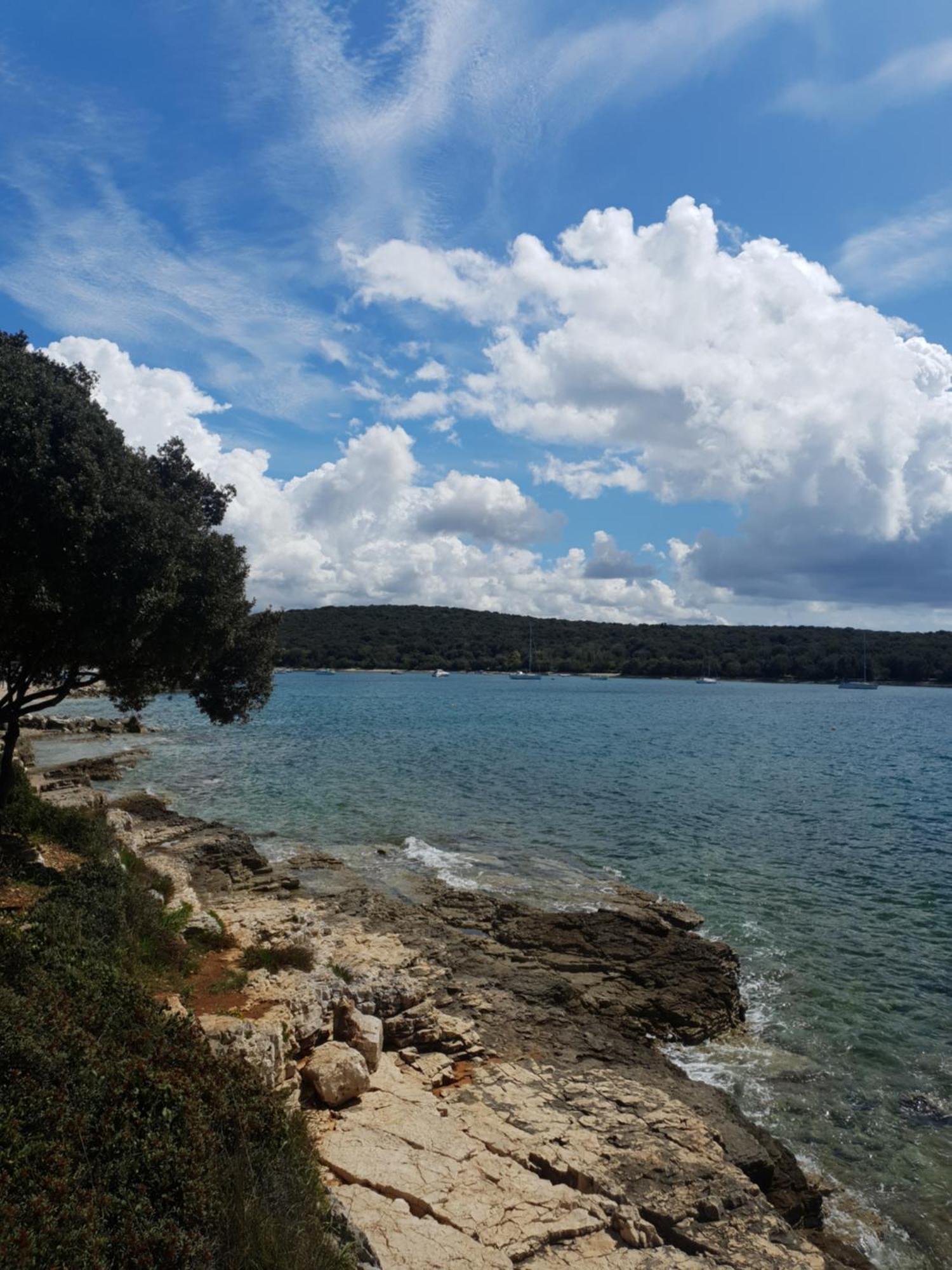 Dalia * Rovinj